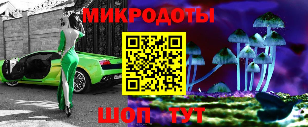 Псилоцибиновые грибы Cubensis Всеволожск