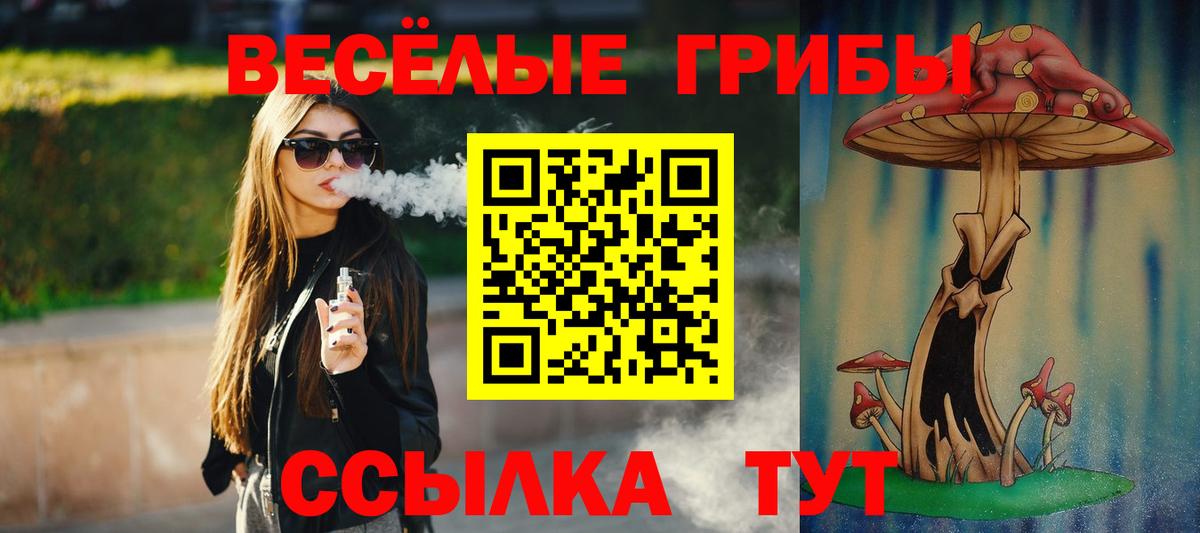 Всеволожск  Псилоцибиновые грибы мицелий  Вход с VPN 